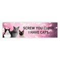 thumbnail image 1 of Koyal Wholesale Galentines Day Decorations Banner, Screw You Cupid I Have Cats | Sarcastic Anti-Valentine's Day Decor, 1 of 5