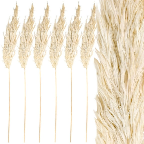 Koyal Wholesale Real Dried Pampas Grass Decor Plumes, 28-32 Inches, White Color, Bulk of 96 Pcs Ornamental Grass