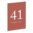 thumbnail image 1 of Koyal Wholesale Terracotta Wedding Table Numbers 41–60, 4x6 Seating Cards, 1 of 3