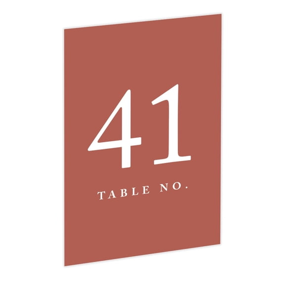 Koyal Wholesale Terracotta Wedding Table Numbers 41–60, 4x6 Seating Cards