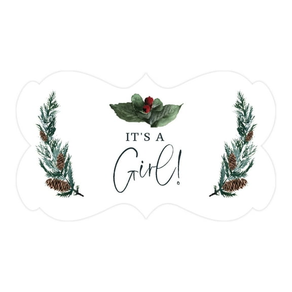 Koyal Wholesale Winter Woodland Forest Watercolor Baby Shower, Fancy Frame Label Stickers, It's a Girl!, 36-Pack