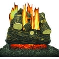 thumbnail image 1 of Kozy 18" VF Gas Log Set, 1 of 3