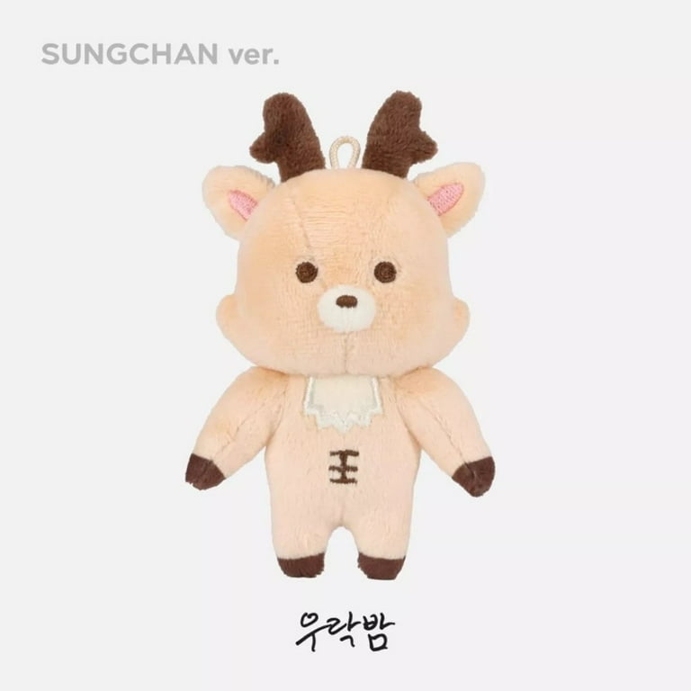 Kpop Idol RIIZE 2024 Valentine's Dayze 10cm Doll Keyring