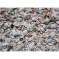 thumbnail image 1 of Kraft "Beach Shells" Wall Decal, 1 of 2