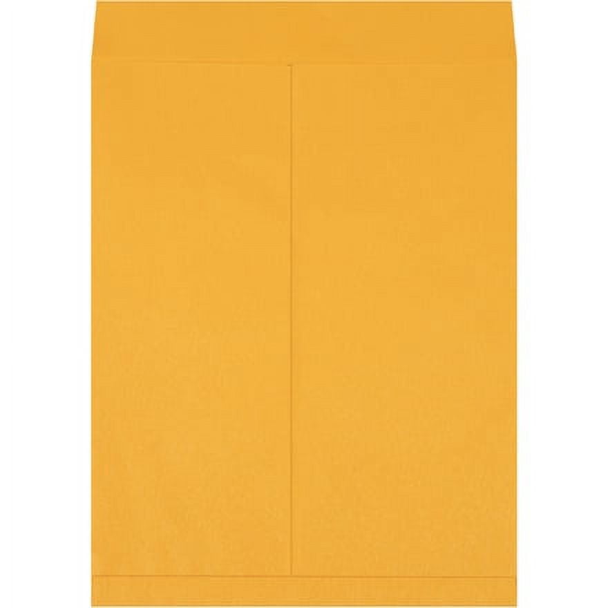 Kraft Jumbo Envelopes, Brown, 18 x 23 Inches, Huge, Big, Oversized, Pack of 100