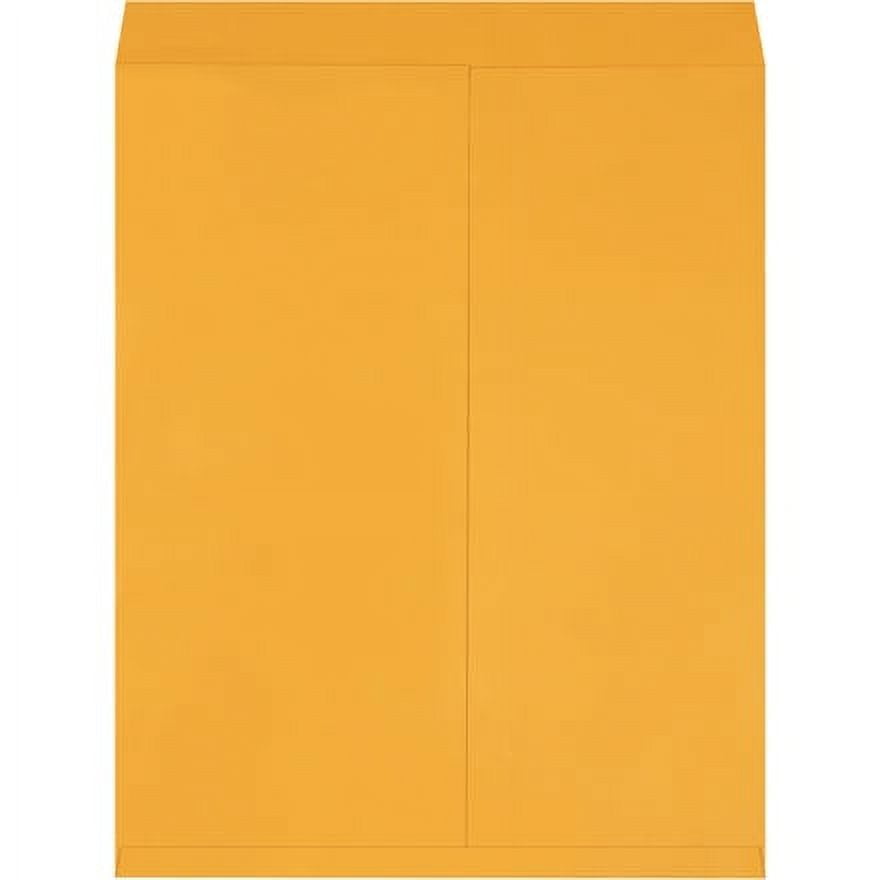 Kraft Jumbo Envelopes, Brown, 24 x 30 Inches, Huge, Big, Oversized, Pack of 100