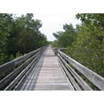 thumbnail image 1 of Kraft "Long Boardwalk" Wall Decal, 1 of 2