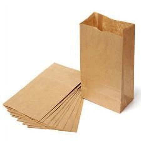 Kraft Paper Lunch Bags, 5 X 3-1/8 X 9-3/4 Inch paper Bread Bags sandwich bags Grocery Brown Bags Paper Snack Bags, Arts/School Bags Gift Party(100 PACK) Made in USA