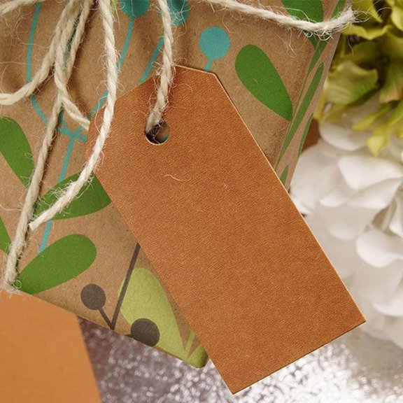 Kraft Tags | Kraft Hanging Tags | Kraft Hang Tags | Unstrung Kraft Gift Tags - 1 5/8in. x 3 1/4in. - 50 Pieces/Pkg. (pm984112)