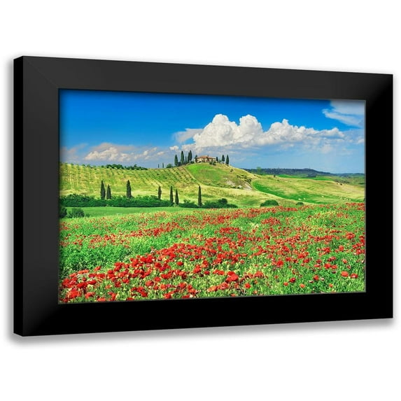 Krahmer, Frank 14x11 Black Modern Framed Museum Art Print Titled - Farmhouse with Cypresses and Poppies- Val dOrcia- Tuscany