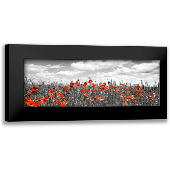 Krahmer, Frank 14x7 Black Modern Framed Museum Art Print Titled - Poppies in corn field, Bavaria, Germany
