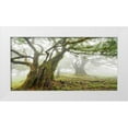 thumbnail image 1 of Krahmer, Frank 14x9 White Modern Wood Framed Museum Art Print Titled - Laurel forest in fog, Madeira, Portugal, 1 of 4