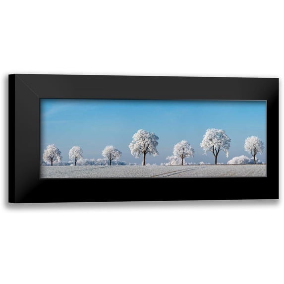 Krahmer, Frank 18x9 Black Modern Framed Museum Art Print Titled - Alley tree with frost, Bavaria, Germany