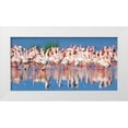 thumbnail image 1 of Krahmer, Frank 24x14 White Modern Wood Framed Museum Art Print Titled - Lesser flamingo, Lake Nakuru, Kenya, 1 of 4