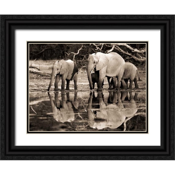 Krahmer, Frank 24x19 Black Ornate Wood Framed with Double Matting Museum Art Print Titled - African elephants, Okavango, Botswana