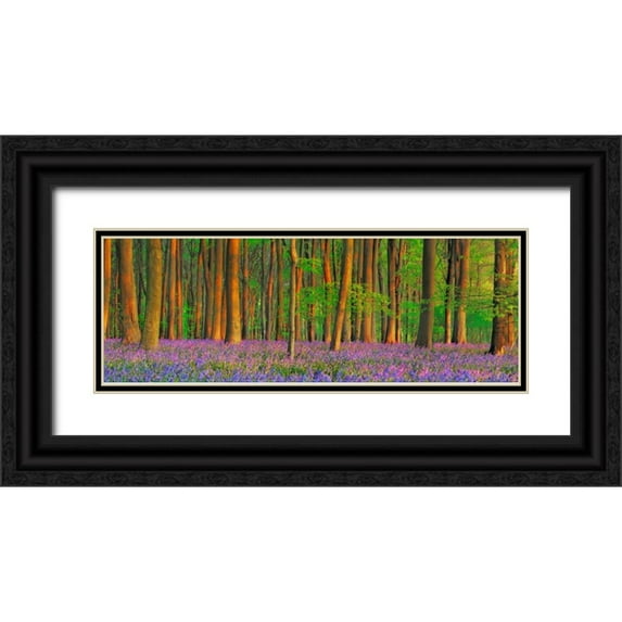 Krahmer, Frank 32x14 Black Ornate Wood Framed with Double Matting Museum Art Print Titled - Beech forest with bluebells, Hampshire, England