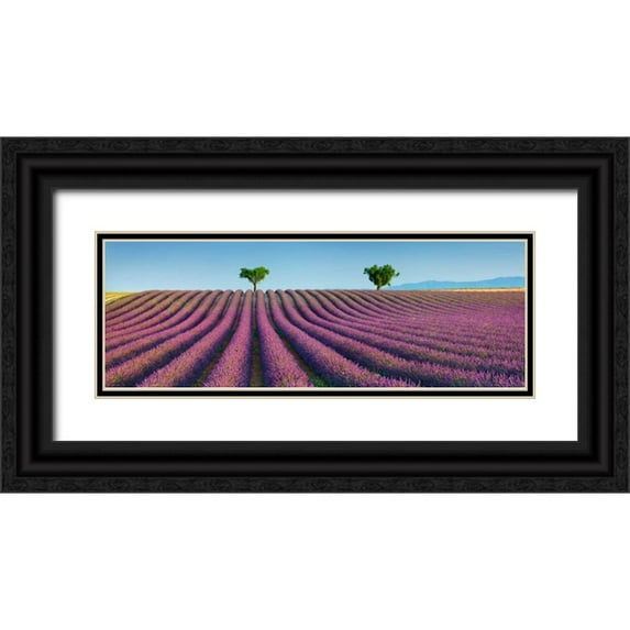 Krahmer, Frank 32x14 Black Ornate Wood Framed with Double Matting Museum Art Print Titled - Lavender field, Provence, France