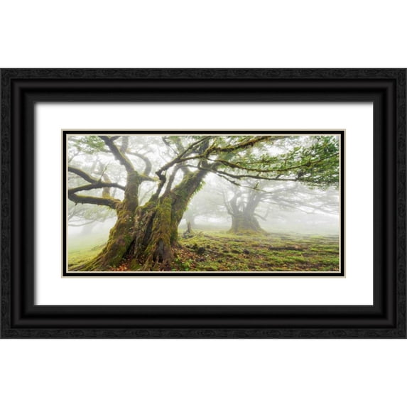 Krahmer, Frank 32x18 Black Ornate Wood Framed with Double Matting Museum Art Print Titled - Laurel forest in fog, Madeira, Portugal