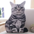 thumbnail image 1 of Kraoden Cat Plush Body Pillow, Cat Stuffed Animal, Soft Plush Pillow, Kitten Plush Throw Pillow Doll Big Plush Toy Decoration Doll Gift for Kids Boys, 1 of 8