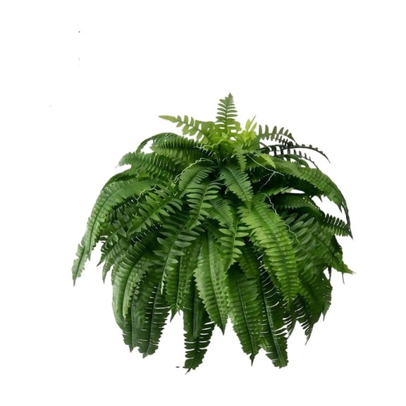 Kraoden Large Faux Fern Plants, Realistic Fake Fern Bushes for Indoor and Outdoor Decor, Perfect for Hanging Baskets, Porch Planters, and Living Room, Maintenance-Free Greenery Gift Set