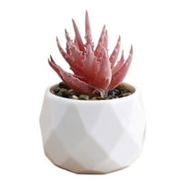 Kraoden Mini Artificial Succulent Plants in Plastic Pots for Indoor Office Decor, Perfect Faux Plants for Home, Bathroom, Bedroom, and Unique Gift Ideas