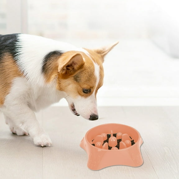 Kraoden Pet Slow Food Bowl for Dogs, Spill Proof Feeding Bowl with Slip Proof Base, Improved Eating Habits for Small to Large Dogs, Slow Feeder Design