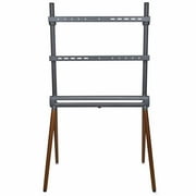Kratos Power Home Easel Studio & TV Floor Stand with RGB Lighting