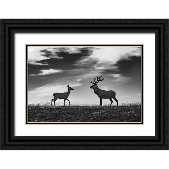 Kravanja, Jure 24x17 Black Ornate Wood Framed with Double Matting Museum Art Print Titled - Meeting