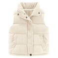 thumbnail image 1 of Krdevn Girls Quilted Vest Winter Warm Padded Sleeveless Jacket Outerwear for Toddlers and Kids Cozy Soft Windproof Cold Weather Apparel,Size:10-11 Years, 1 of 4
