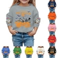 thumbnail image 1 of Krdevn Kids Everyday Is Halloween Skeleton Pumpkin Ghost Baseball Graphic Crewneck Sweatshirt Long Sleeve Casual Pullover Top for Halloween Holiday Wear Grey,5-6 Years, 1 of 4