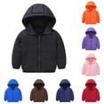 thumbnail image 1 of Krdevn Kids Hooded Puffer Jacket, Long Sleeve Zip Up Warm Quilted Winter Coat for Boys Girls, Lightweight Outerwear for Toddler Little Kids,Black, 1 of 4