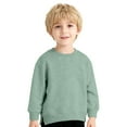 thumbnail image 1 of Krdevn Kids Pullover Sweater Soft Casual Crewneck Top for Boys and Girls Outerwear Daily Wear Play Outfit,Kids Clothing,2-3 Years, 1 of 7