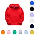 thumbnail image 1 of Krdevn Kids Solid Pullover Hoodie Contrast Inner Lining Kangaroo Pocket Thick Soft Long Sleeve Casual Base Sweatshirt,18-24 Months, 1 of 5