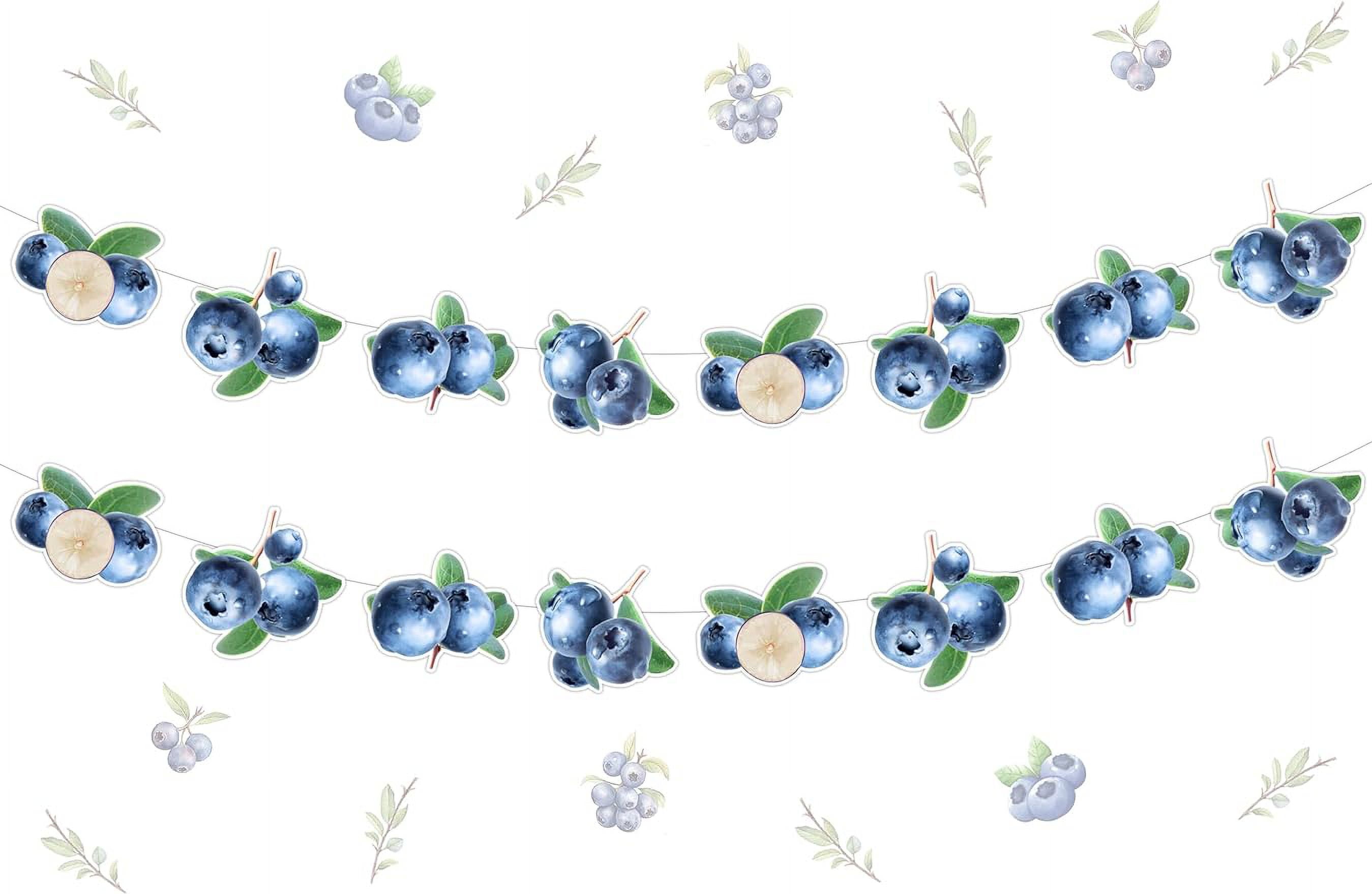 Babyshower.boy Party Decoration Pack Blueberry Blue Gingham Berry Sweet  Berry Baby Shower Decoration, 5 Large Pajamas, Adjustable Length Banner,  Berry Baby Shower Decor Blueberry Baby Shower Decorations, image size:2698x1758