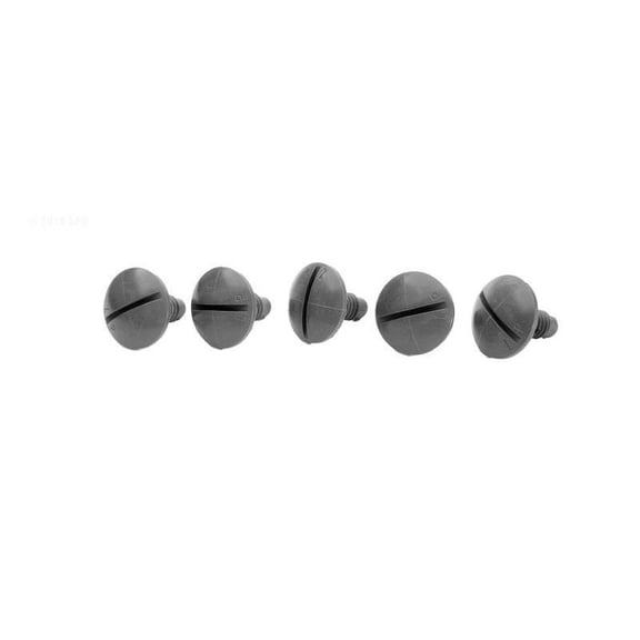 Pentair LLC55PM Gray Plastic Wheel Screw Replacement Automatic Pool and Spa Cleaner, Set of 5
