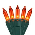 thumbnail image 1 of Kringle Traditions 50-Ct Indoor-Outdoor Orange Halloween Mini Light Set - 17' Green Wire, 1 of 6