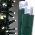 thumbnail image 1 of Kringle Traditions 5mm Cool White LED Christmas Lights, Mini LED String Lights; 50 Lights, Green Wire, 17ft (Boxed Set), 1 of 9