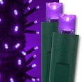 thumbnail image 1 of Kringle Traditions 5mm Purple LED Christmas Lights, Mini LED String Lights; 50 Lights, Green Wire, 17ft (Boxed Set), 1 of 8