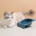 thumbnail image 1 of Kripyery Cats Bowl No Spill Non-Skid 15 Degree Inclined Design Smooth Edges Large Capacity Holder Food Grade Pet Food Feeder Bowl Pet Supplies, 1 of 7