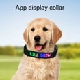 thumbnail image 1 of Kripyery Pet Collar Electric Comfortable Soft High Elasticity Reusable Breathable Digital Display Dog DIY ID Tag Collar for Outdoor, 1 of 7