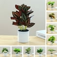 thumbnail image 1 of Kripyery Simulation Pot Plant Realistic Looking Not Wither Geometric Shape Potted Unfading Maintenance Free Decorate Exquisite Details Home Decor Artificial Plants Bonsai for Home, 1 of 8