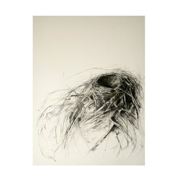 Kris Ekstrand 'Sanctuary' Canvas Art