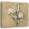 thumbnail image 1 of Kristin Emery 26x26 Gallery Wrapped Canvas Wall Art Titled - Calla Lily I, 1 of 4