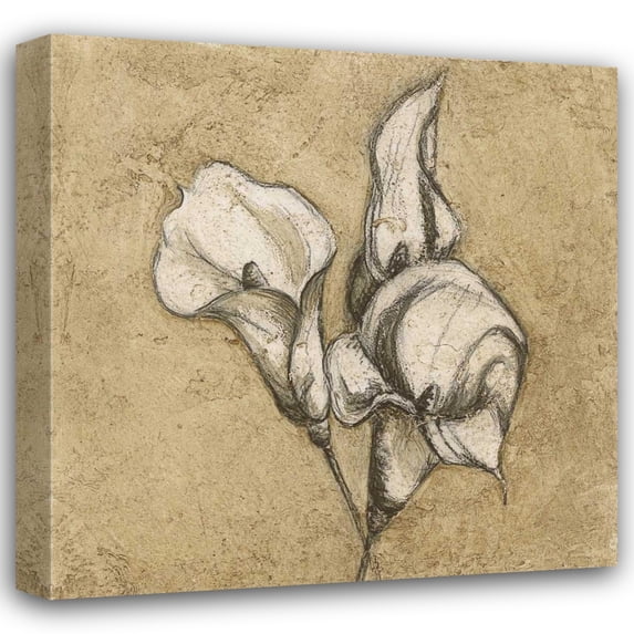 Kristin Emery 26x26 Gallery Wrapped Canvas Wall Art Titled - Calla Lily I