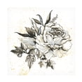 thumbnail image 1 of Kristy Rice 'Elegance II' Canvas Art, 1 of 3