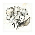 thumbnail image 1 of Kristy Rice 'Elegance III' Canvas Art, 1 of 3