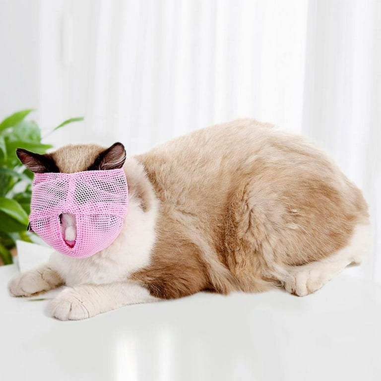 Cat muzzle 2024 for biting