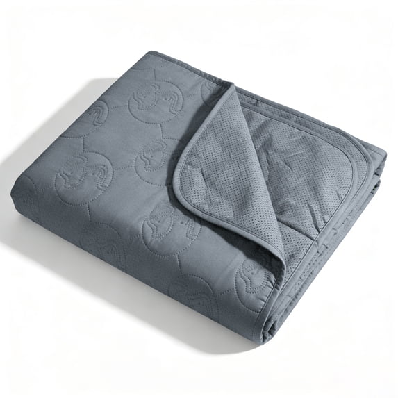 Kritter Planet Waterproof Dog Blanket for Couch, Washable Pet Couch Cover, Non-slip Bed Sofa Furniture Protector Mat, Gray, 30''x50''.