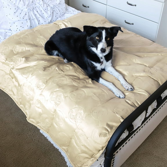 Kritter Planet Waterproof Dog Blanket for Couch, Washable Pet Couch Cover, Non-slip Bed Sofa Furniture Protector Mat, Latte, 60''x50''.