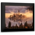 thumbnail image 1 of Krivec, Ales 17x15 Black Modern Framed Museum Art Print Titled - Floating Island, 1 of 5